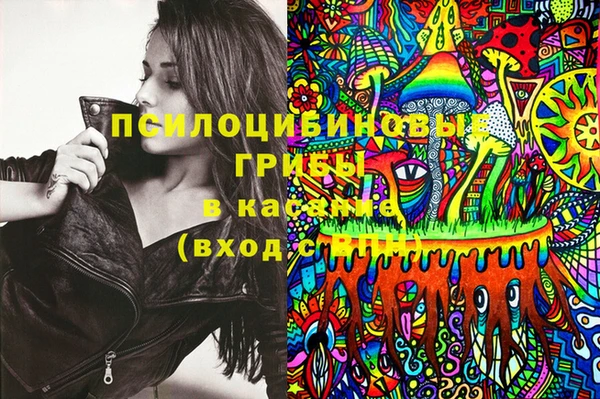 ГАЛЛЮЦИНОГЕННЫЕ ГРИБЫ Белоозёрский