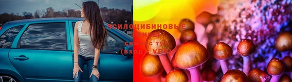 трава Богданович