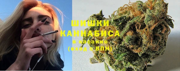 мескалин Богородицк