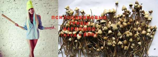 трава Богданович