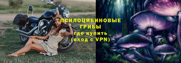 мескалин Богородицк