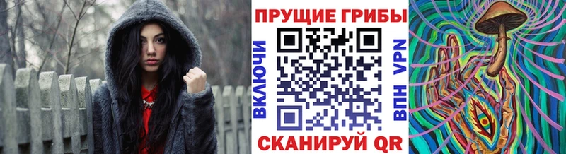 Псилоцибиновые грибы прущие грибы  Наро-Фоминск 