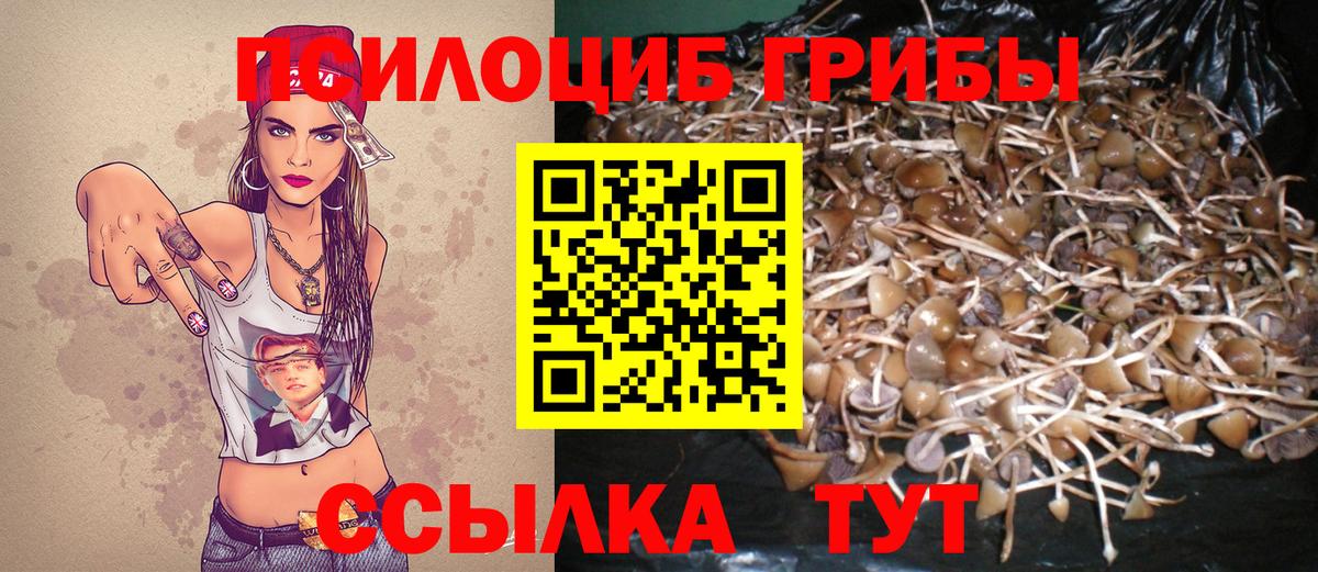 Наро-Фоминск  Галлюциногенные грибы мухоморы  хочу наркоту  Галлюциногенные грибы MAGIC MUSHROOMS  Вход с VPN 